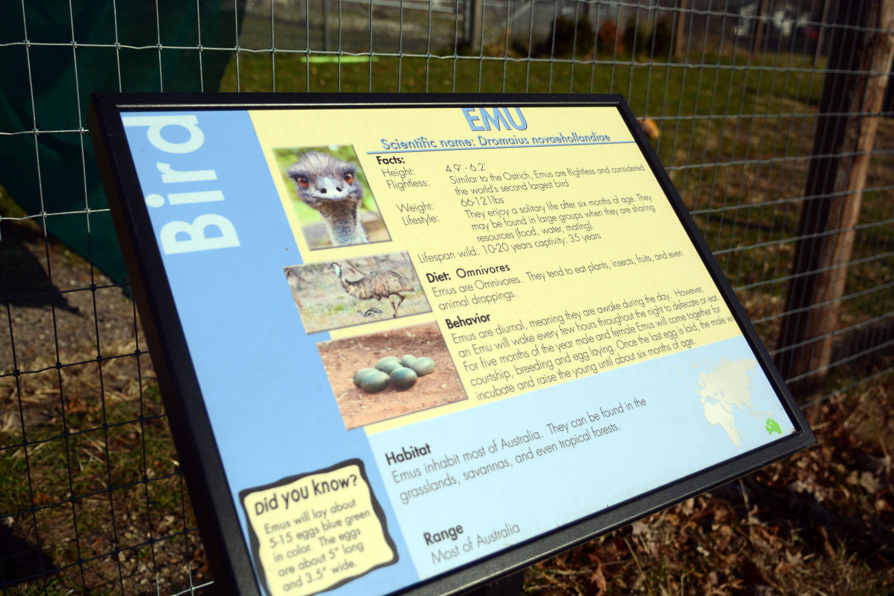 Scenes from Baraboo's Ochsner Park Zoo, Nov. 7, 2020